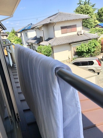 image1 - コピー.jpeg